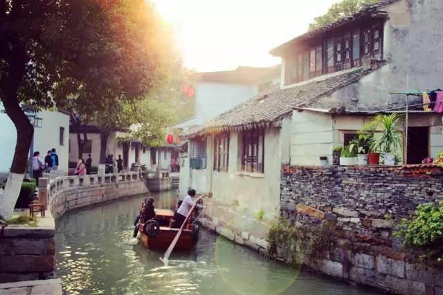 拯救精灵的土地5