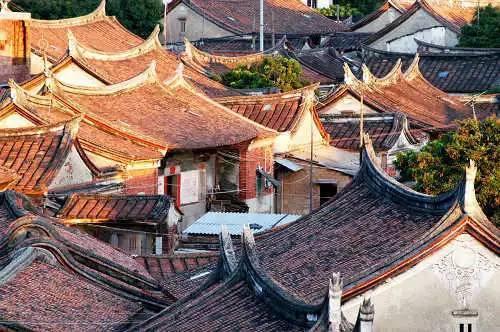 猫吃鱼的时候被刺卡到怎么办游戏画面